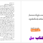 دانلود پی دی اف کتاب فراتر از عشق ف. صرامی PDF