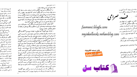 دانلود پی دی اف کتاب فراتر از عشق ف. صرامی PDF