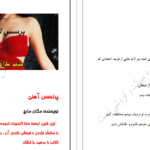دانلود پی دی اف کتاب پرنسس آهنی سارا گلمبرت PDF