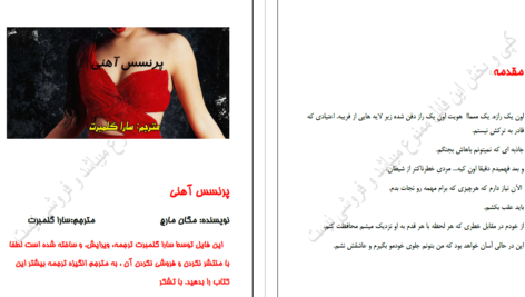 دانلود پی دی اف کتاب پرنسس آهنی سارا گلمبرت PDF