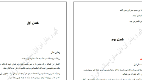 دانلود پی دی اف کتاب پرنسس آهنی سارا گلمبرت PDF