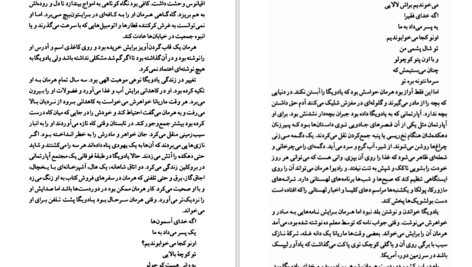 دانلود پی دی اف کتاب یک مهمانی یک رقص PDF