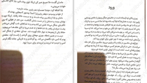 دانلود پی دی اف کتاب داستان یک روح دیوید لاوری PDF