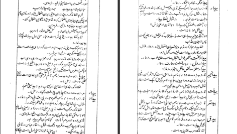دانلود پی دی اف کتاب فرهنگ نظام سیدمحمدعلی داعی الاسلام PDF