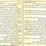 دانلود پی دی اف کتاب مهمان آمریکایی عزیز نسین PDF