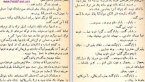 دانلود پی دی اف کتاب مهمان آمریکایی عزیز نسین PDF