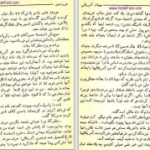دانلود پی دی اف کتاب مهمان آمریکایی عزیز نسین PDF
