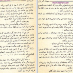 دانلود پی دی اف کتاب مهمان آمریکایی عزیز نسین PDF