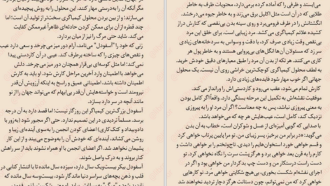 دانلود پی دی اف کتاب وسط بازی شانن مک گوایر PDF