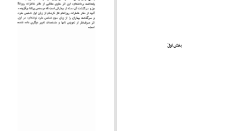 دانلود پی دی اف کتاب رویای ساحره فلوریندادانر PDF