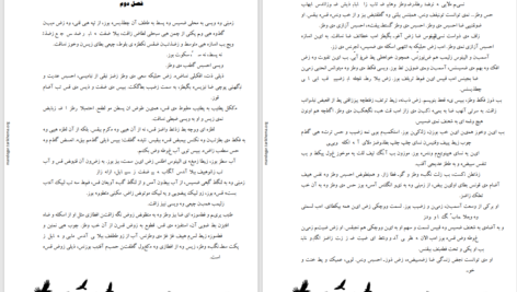 دانلود پی دی اف کتاب محفل اسرار آمیز جلد 1: آغاز ال جی اسمیت PDF