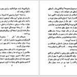 دانلود پی دی اف کتاب مرد دو زنه عزیز نسین PDF