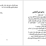 دانلود پی دی اف کتاب مرد دو زنه عزیز نسین PDF