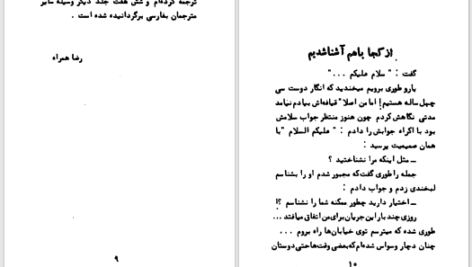 دانلود پی دی اف کتاب مرد دو زنه عزیز نسین PDF