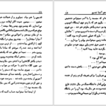 دانلود پی دی اف کتاب مرد دو زنه عزیز نسین PDF