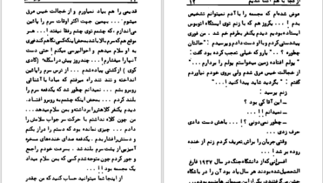 دانلود پی دی اف کتاب مرد دو زنه عزیز نسین PDF