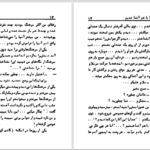 دانلود پی دی اف کتاب مرد دو زنه عزیز نسین PDF