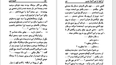دانلود پی دی اف کتاب مرد دو زنه عزیز نسین PDF