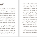 دانلود پی دی اف کتاب زمین بدون مردان کریستینا سویینی برد PDF