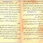 دانلود پی دی اف کتاب نابغه هوش عزیز نسین PDF