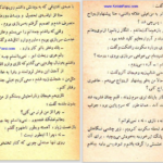 دانلود پی دی اف کتاب نابغه هوش عزیز نسین PDF