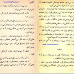 دانلود پی دی اف کتاب نابغه هوش عزیز نسین PDF