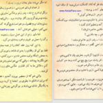 دانلود پی دی اف کتاب نابغه هوش عزیز نسین PDF