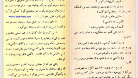 دانلود پی دی اف کتاب نابغه هوش عزیز نسین PDF