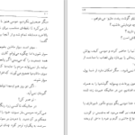 دانلود پی دی اف کتاب آقای سوت زن عزیز نسین PDF