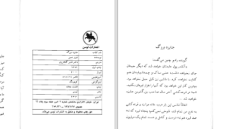 دانلود پی دی اف کتاب جایزه بزرگ عزیز نسین PDF
