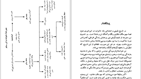 دانلود پی دی اف کتاب سهم سگان شکاری امیل زولا PDF