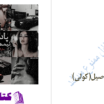 دانلود پی دی اف کتاب پادشاه نیمه اصیل جلد 1 سارا گلمبرت PDF