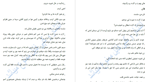 دانلود پی دی اف کتاب پادشاه نیمه اصیل جلد 1 سارا گلمبرت PDF