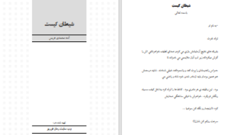 دانلود پی دی اف کتاب شیطان کیست آمنه محمدی هریس PDF