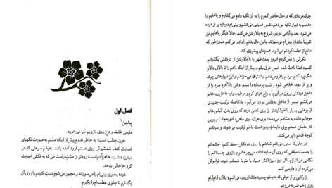 دانلود پی دی اف کتاب ناتوان لورن رابرتس PDF