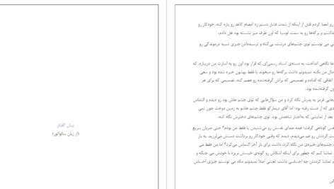 دانلود پی دی اف کتاب سالواتور ناتاشا نایتPDF