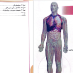 دانلود پی دی اف کتاب آناتومی انسان چوراسیا PDF