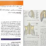 دانلود پی دی اف کتاب آناتومی انسان چوراسیا PDF