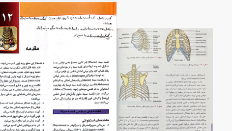 دانلود پی دی اف کتاب آناتومی انسان چوراسیا PDF