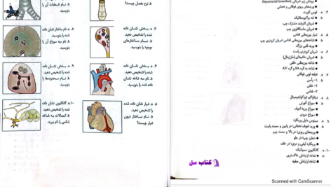 دانلود پی دی اف کتاب آناتومی انسان چوراسیا PDF