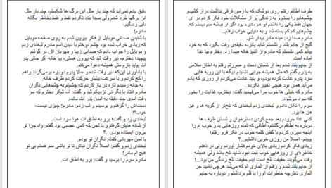 دانلود پی دی اف کتاب نگین الماس دیا نوری PDF