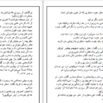 دانلود پی دی اف کتاب نگین الماس دیا نوری PDF