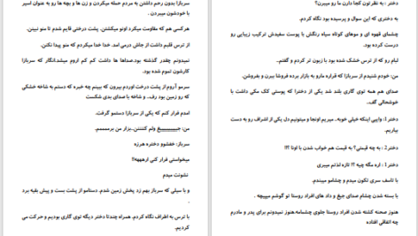دانلود پی دی اف کتاب شهزاده و دختر گدا عسل احمدی PDF