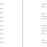 دانلود پی دی اف کتاب در محاصره ی خودشیفتگان توماس اریکسون PDF