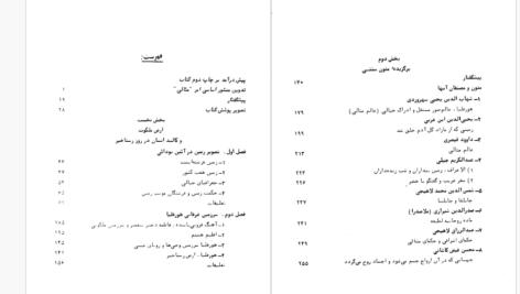 دانلود پی دی اف کتاب ارض ملکوت سید ضیاء الدین دهشیری  PDF