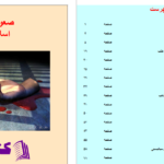 دانلود پی دی اف کتاب صعود و سقوط اسلام سیاسی محسن ابراهیمی  PDF