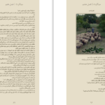 دانلود پی دی اف کتاب میدگارد 5 PDF
