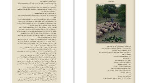 دانلود پی دی اف کتاب میدگارد 5 PDF