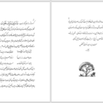 دانلود پی دی اف کتاب 66 تضمین غزلیات هلالی جغتایی حیدر تهرانی PDF
