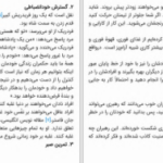 دانلود پی دی اف کتاب رهبر خودآگاه جان سی مکسول PDF
